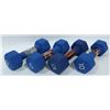 Image 1 : LOT OF FOUR 10LB HAND WEIGHTS