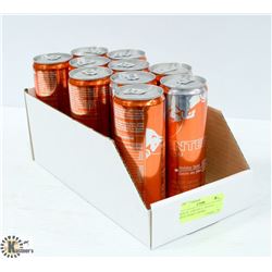 BOX OF 10 RED BULL HOLIDAY SPICE ENERGY DRINKS