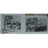 Image 1 : LOT OF 2 NATHAN PINSET SIGNED WOLF PRINTS