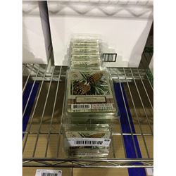 Ambiscents 6Sugar Pine Scented Wax Cubes (10ct)