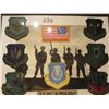 Image 2 : FRAMED PICTURE US ARMY GROUP BADGES