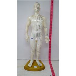 Accupuncture Meridian "Guide Doll"