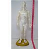 Image 1 : Accupuncture Meridian "Guide Doll"