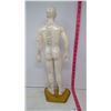Image 2 : Accupuncture Meridian "Guide Doll"