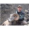Image 1 : BC Bighorn Sheep Combo Hunt