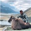 Image 2 : 4 -DAY New Zealand Hunting Experience like No Other!