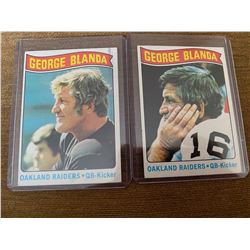 George Blanda lot
