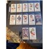 Image 1 : 12 Mini Card lot