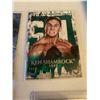 Image 1 : Ken Shamrock