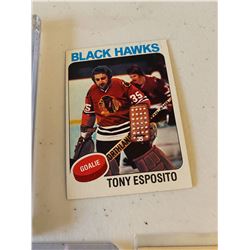 Tony Esposito