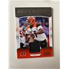 Image 1 : Geno Atkins