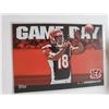 Image 1 : A.J. Green