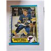 Image 1 : Brett Hull