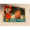 Image 1 : Gail Harris