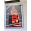 Image 1 : Hulk Hogan