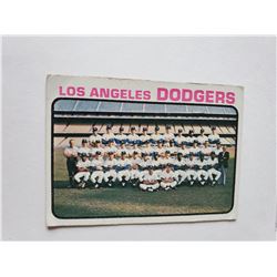 Vintage LA Dogers Team