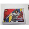 Image 1 : Randy Johnson