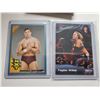 Image 1 : Daniel Bryan, Taylor Wilde