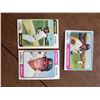 Image 1 : Ron Santo, Gene Clines, Ellie Rodriguez