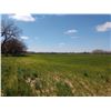 Image 3 : 113 Acres of Pasture, Farm and River