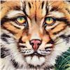 Image 2 : Ocelot Eyes by Katon, Martin