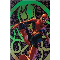 Amazing Spider-Man #524 by Marvel Comics