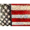 Image 2 : Samir Sammoun (American Flag )"FREEDOM"