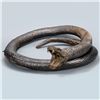 Image 1 : 2019 Jumanji: The Next Level Screen Used Snake from Nick Jonas Scene Signed Letter of Authenticity