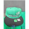Image 7 : Saskatchewan Roughriders New (2) Pairs of Shorts, Ball Cap and (3) T-Shirts