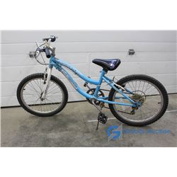 Youth 20" Nakamura Mountain Bike