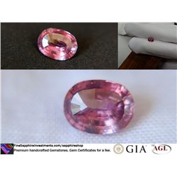 red-pink Sapphire, unheated, premium cut GIA 1.48 ct