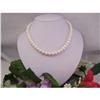 9-10mm Freshwater White Pearl Necklace w/ Gold #854419