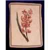 Image 1 : Orchids Petit Pt & Needlept Pillow CHIC #855333