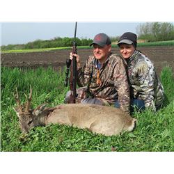 Serbia: 4-Day Roe Deer Hunt for 1 Hunter and 1 Observer