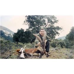 Spain: 5-Day South East and Ronda Ibex Hunt for 1 Hunter and 1 Observer
