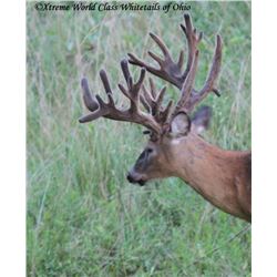 Ohio: Credit Toward a 180-200" Class Trophy Whitetail Deer