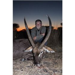 Limpopo, R.S.A.: 7-Day Plains Game Safari for up to 4 Hunters with Famed Numzaan Safaris