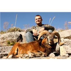 Texas: 2-Day/1-Night Hunt for a  Trophy Corsican Ram