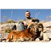 Image 1 : Texas: 2-Day/1-Night Hunt for a  Trophy Corsican Ram