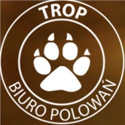 Poland: 5-Night/4-Day Wild Boar Hunt