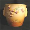 Image 1 : ROSEVILLE IXIA PLANTER #836963