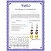 Image 2 : Genuine 11.20 ctw Citrine & Garnet Earrings 14KT White Gold - REF-56N2R