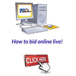 How to Bid during a Live Online Auction