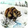 Image 1 : Grizzly Inside Painted Snuff Bottle  #838392