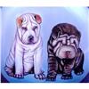 Image 1 : Shar-Pei Collectible  Professional Painted #838455