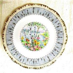 Royal Albert 8 1/4 Plate SILVER BIRCH #857313
