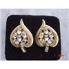 Image 1 : TRIFARI Clear Rhinestone Heart Earrings #872117