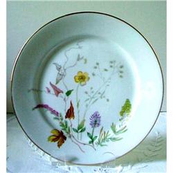 Lovely Rosenthal China Plate BOTANICAL #873003