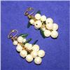 Vintage Beaded Glass Grape Cluster Earrings #873432