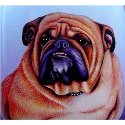 BULLDOG~Pet SERIES Inside Painted SNUFF Bottle #873567